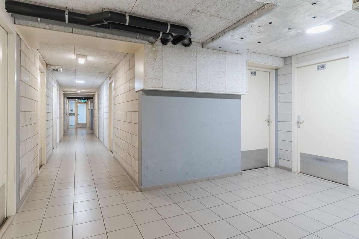 Hoge Wal 49 - 05 Photo Blur 29