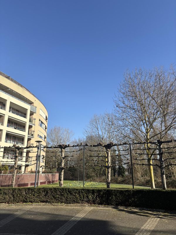 Hofdael 124 Photo Blur 28