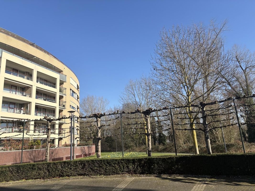 Hofdael 124 Photo Blur 29