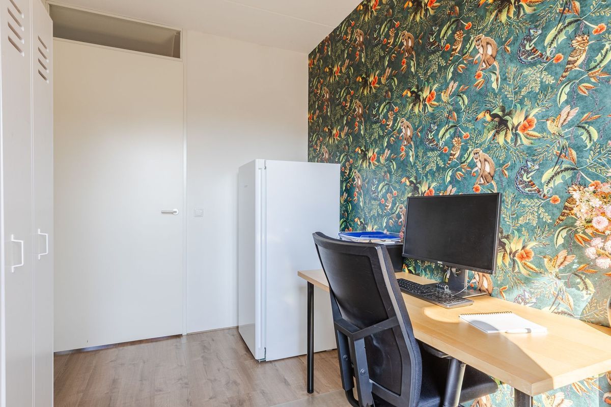 Aakpark 9 Photo Blur 20