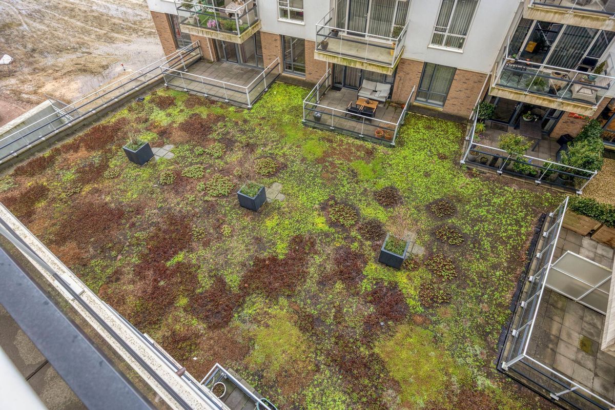 Piusplein 28 - 25 Photo Blur 11