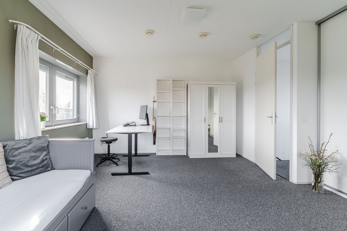 De Terpen 5 Photo Blur 49