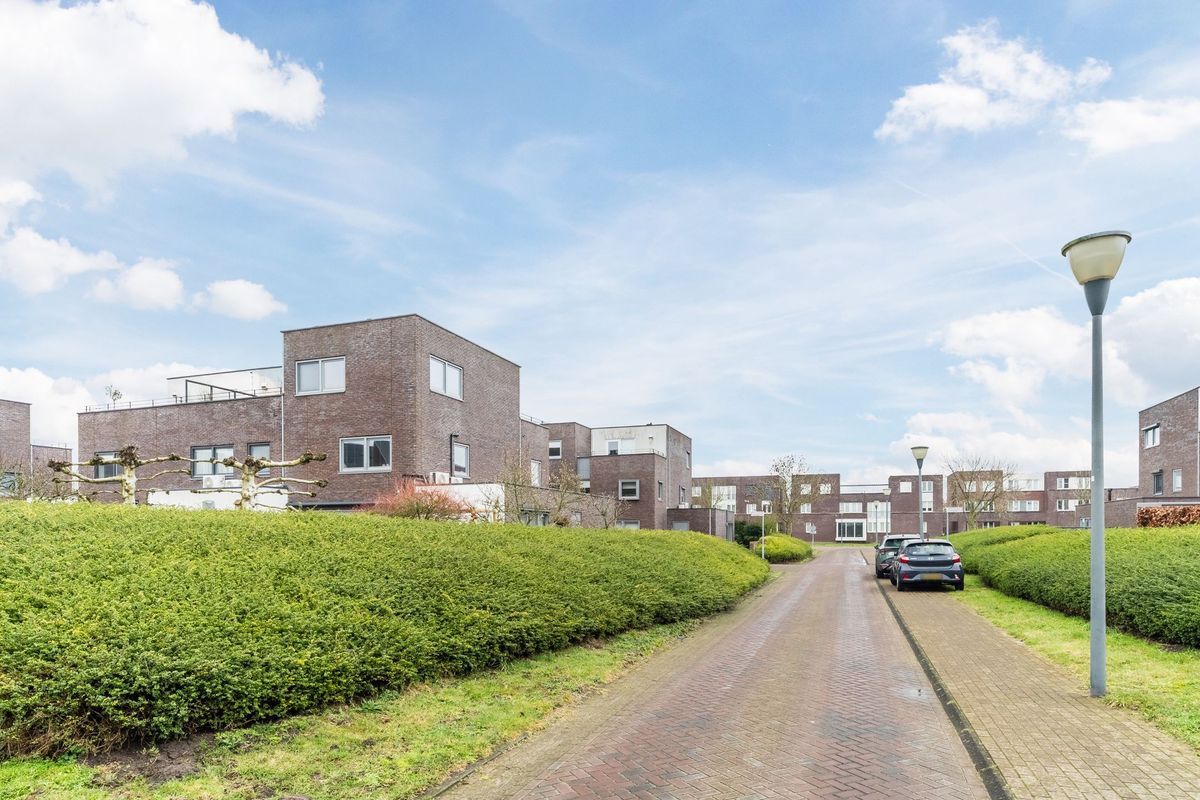 De Terpen 5 Photo Blur 67