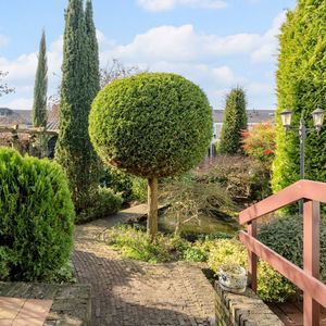 Schoutstraat 29 Photo 4