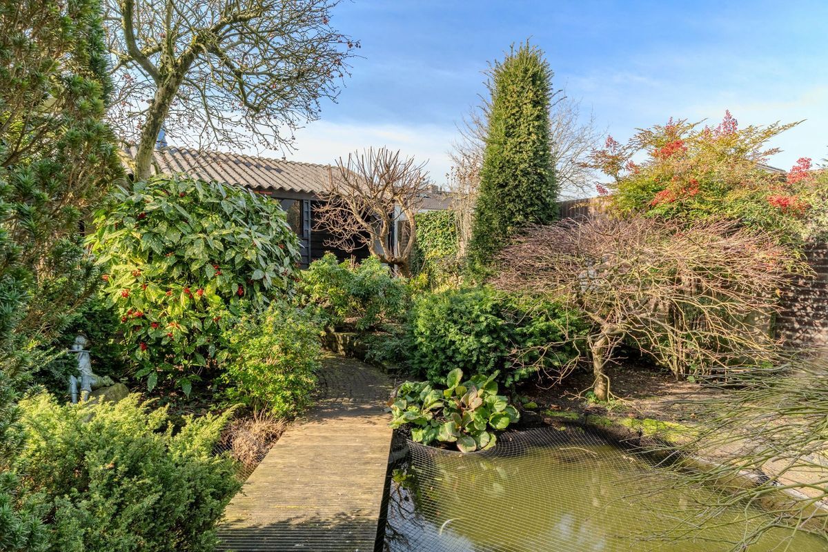 Schoutstraat 29 Photo Blur 24