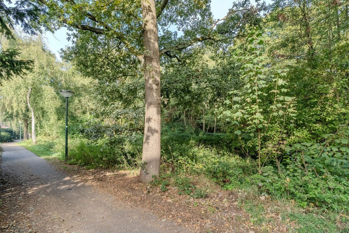 Leemkuylen 34 Photo Blur 45