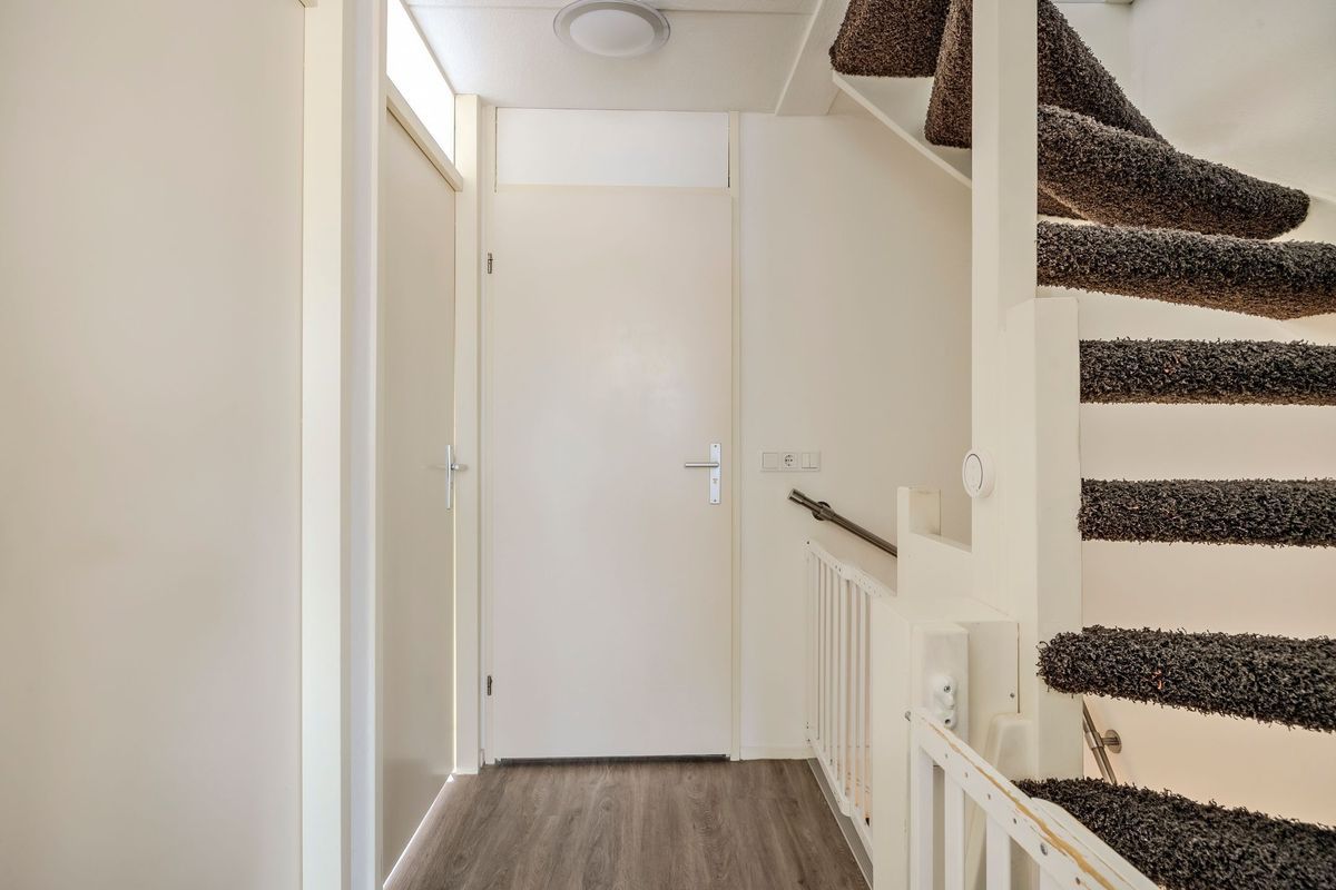 Bongelakker 55 - A Photo Blur 22