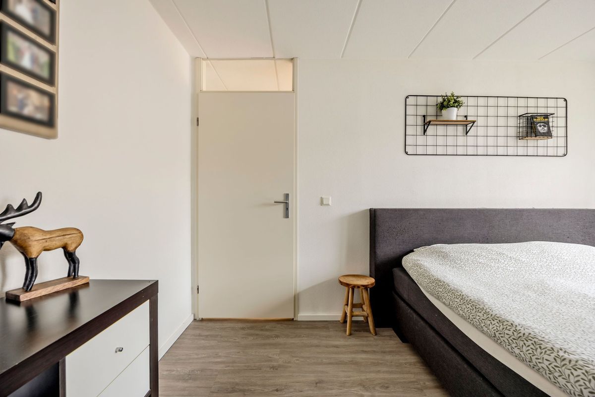 Bongelakker 55 - A Photo Blur 24