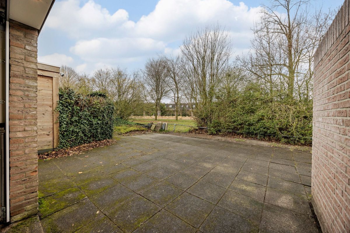 Bongelakker 55 - A Photo Blur 48