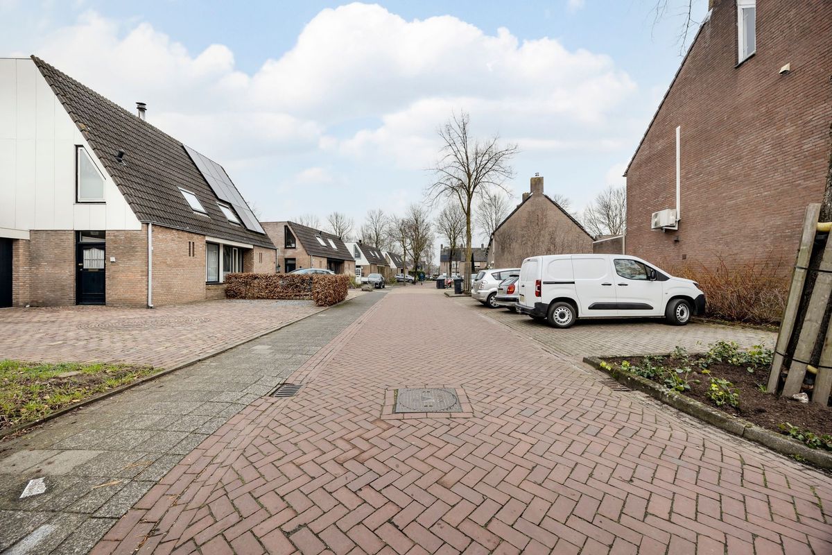 Bongelakker 55 - A Photo Blur 49