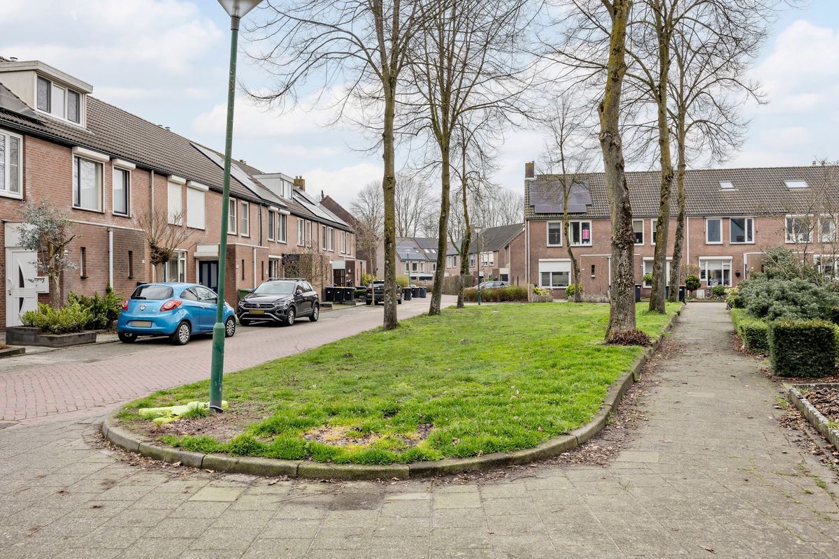 Bongelakker 55 - A Photo Blur 47