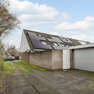 Bongelakker 55 - A Photo 4