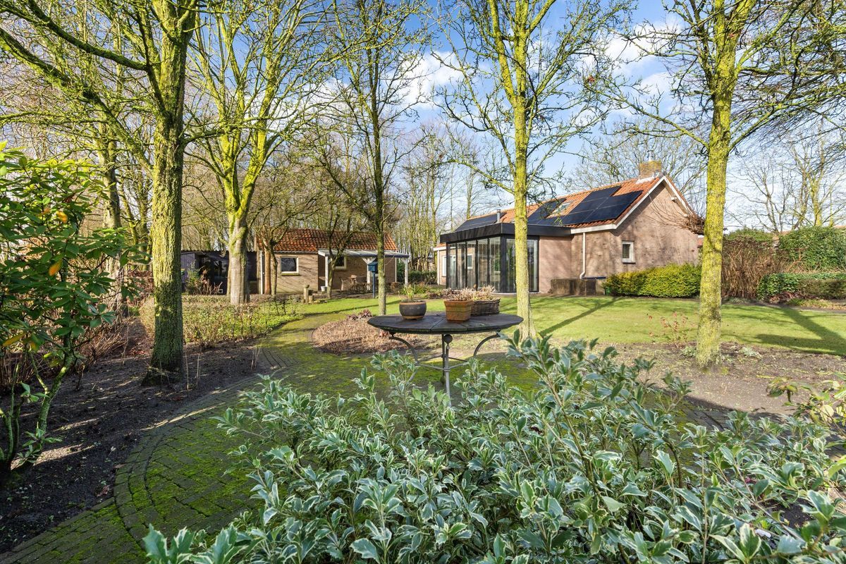 Liesstraat 104 Photo Blur 44