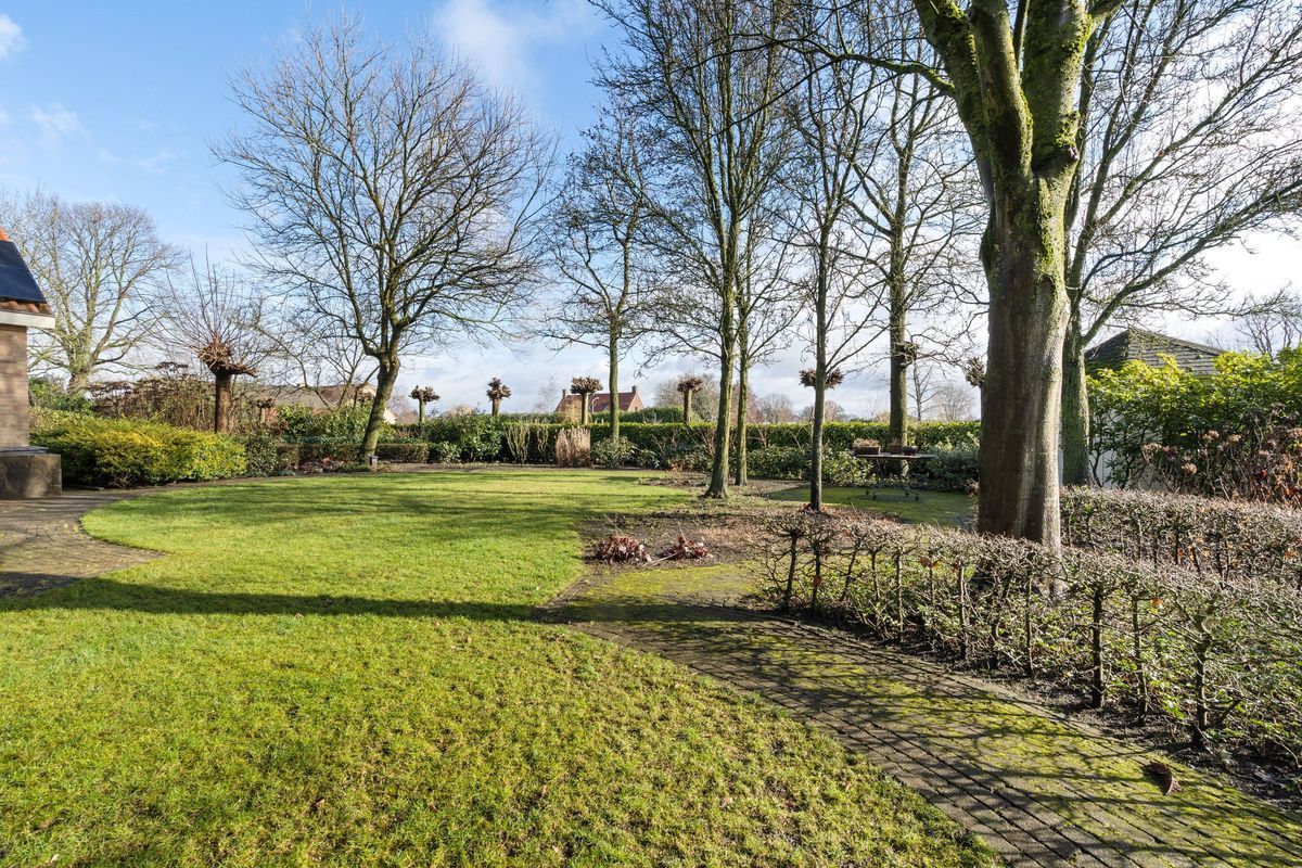 Liesstraat 104 Photo Blur 47