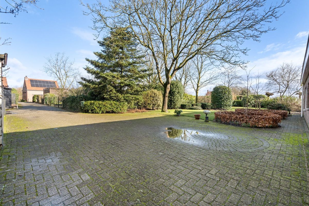 Liesstraat 104 Photo Blur 49