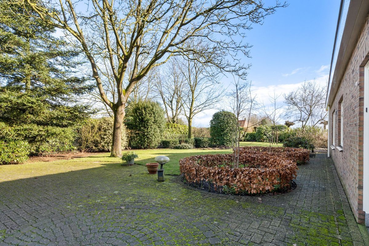 Liesstraat 104 Photo Blur 5