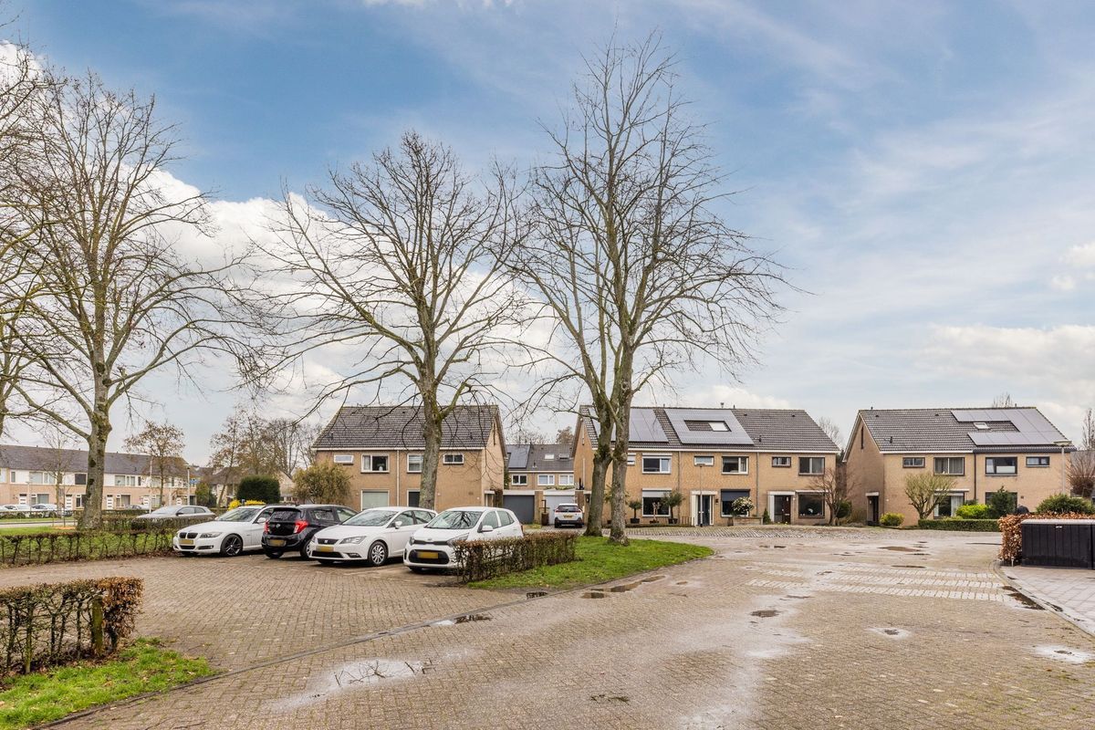 Paganinistraat 14 Photo Blur 35