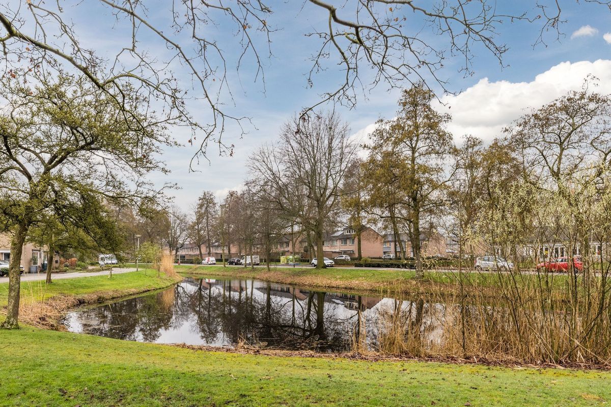 Paganinistraat 14 Photo Blur 37