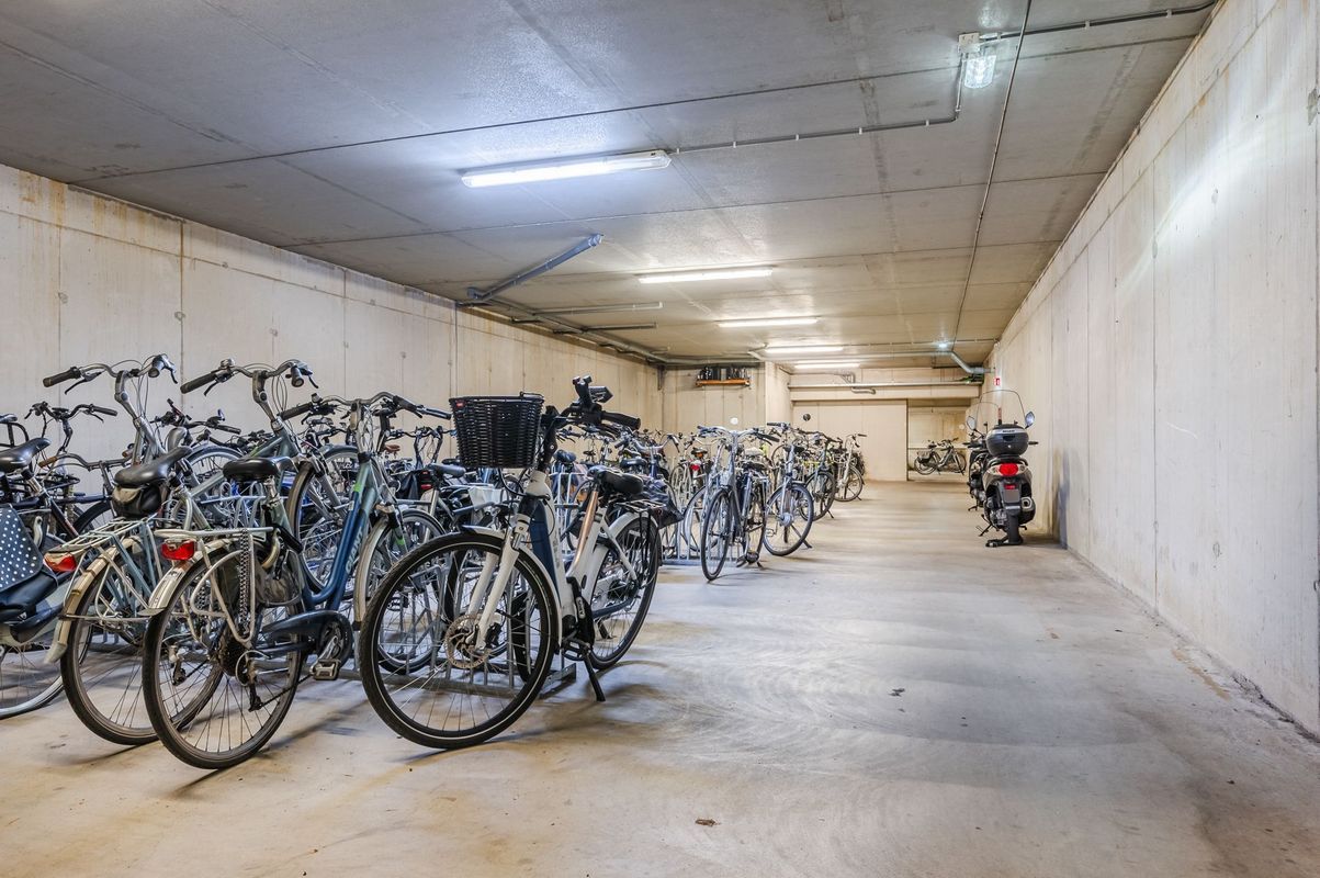 Ouverture 46 Photo Blur 43