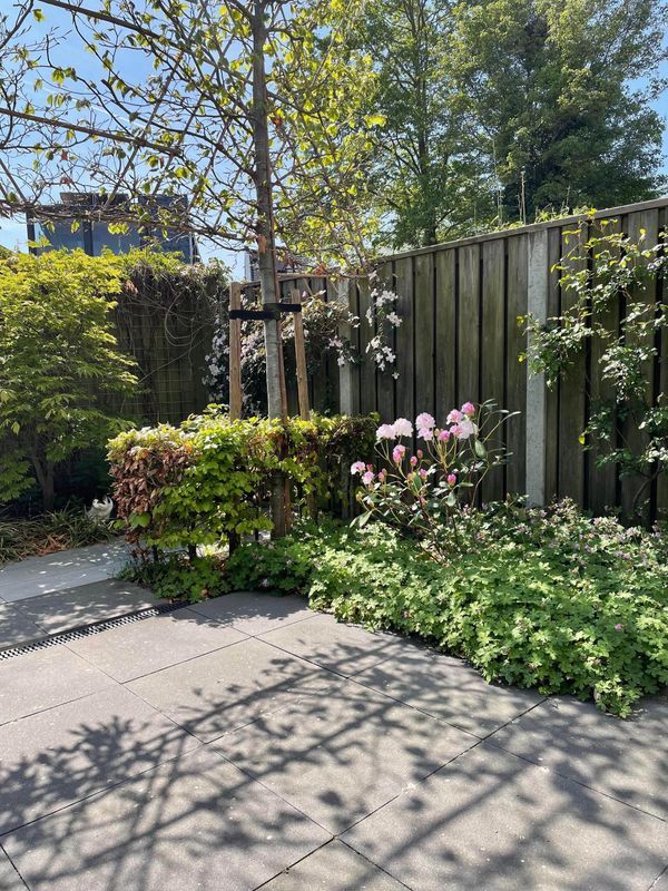 Mr. J.H. de Pontplein 27 Photo Blur 32