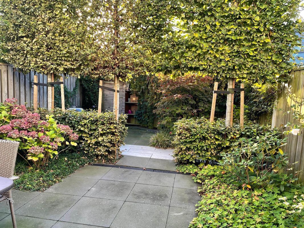 Mr. J.H. de Pontplein 27 Photo Blur 30