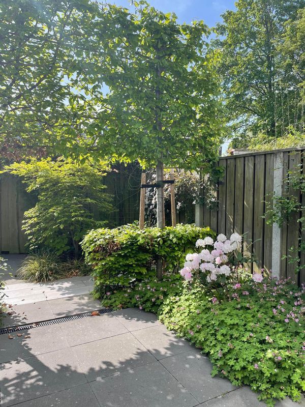 Mr. J.H. de Pontplein 27 Photo Blur 33