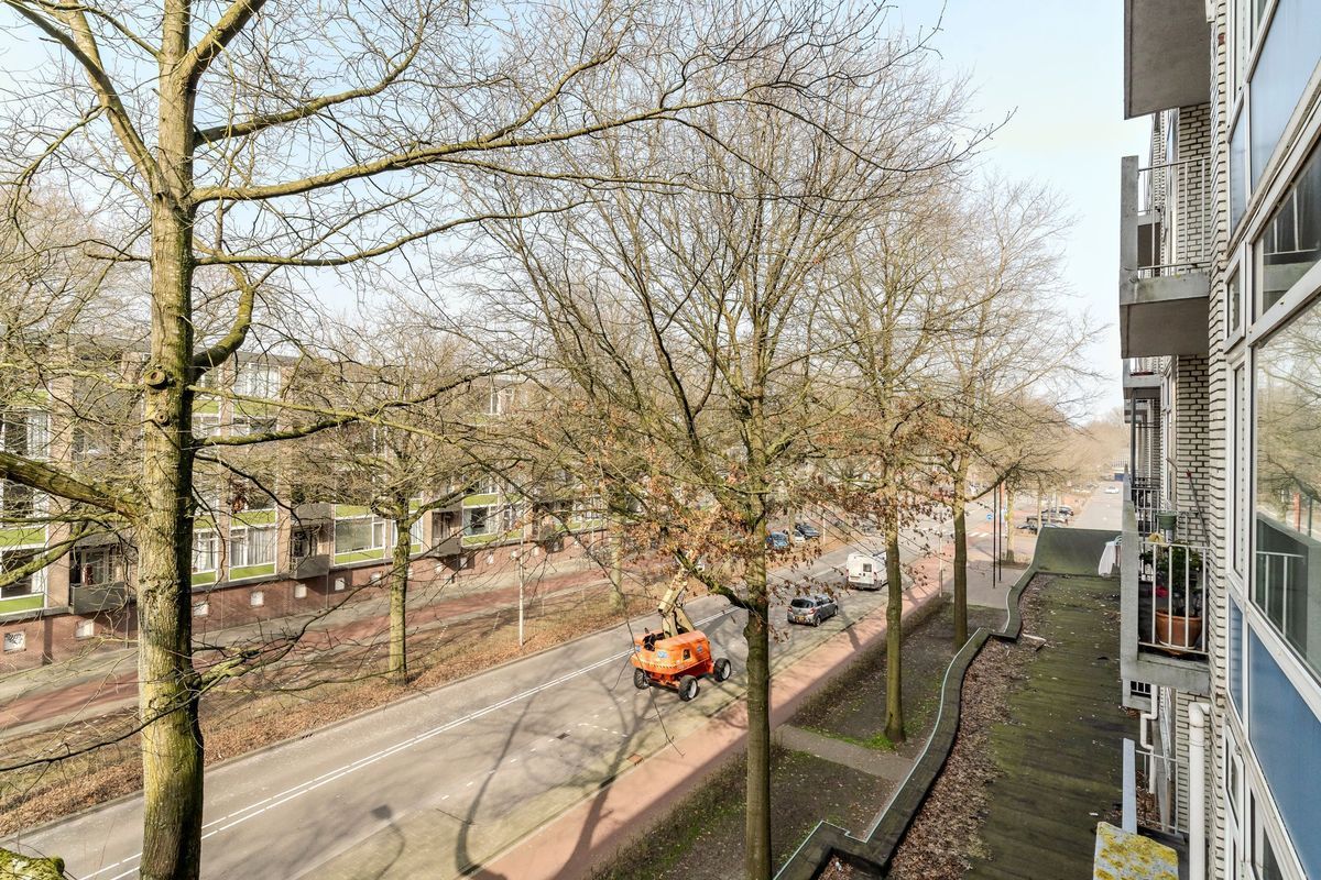 Tobias Asserlaan 121 Photo Blur 6