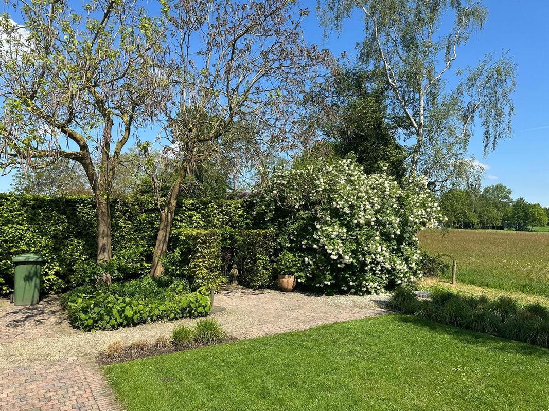 Voldijkje 8 Photo Blur 37