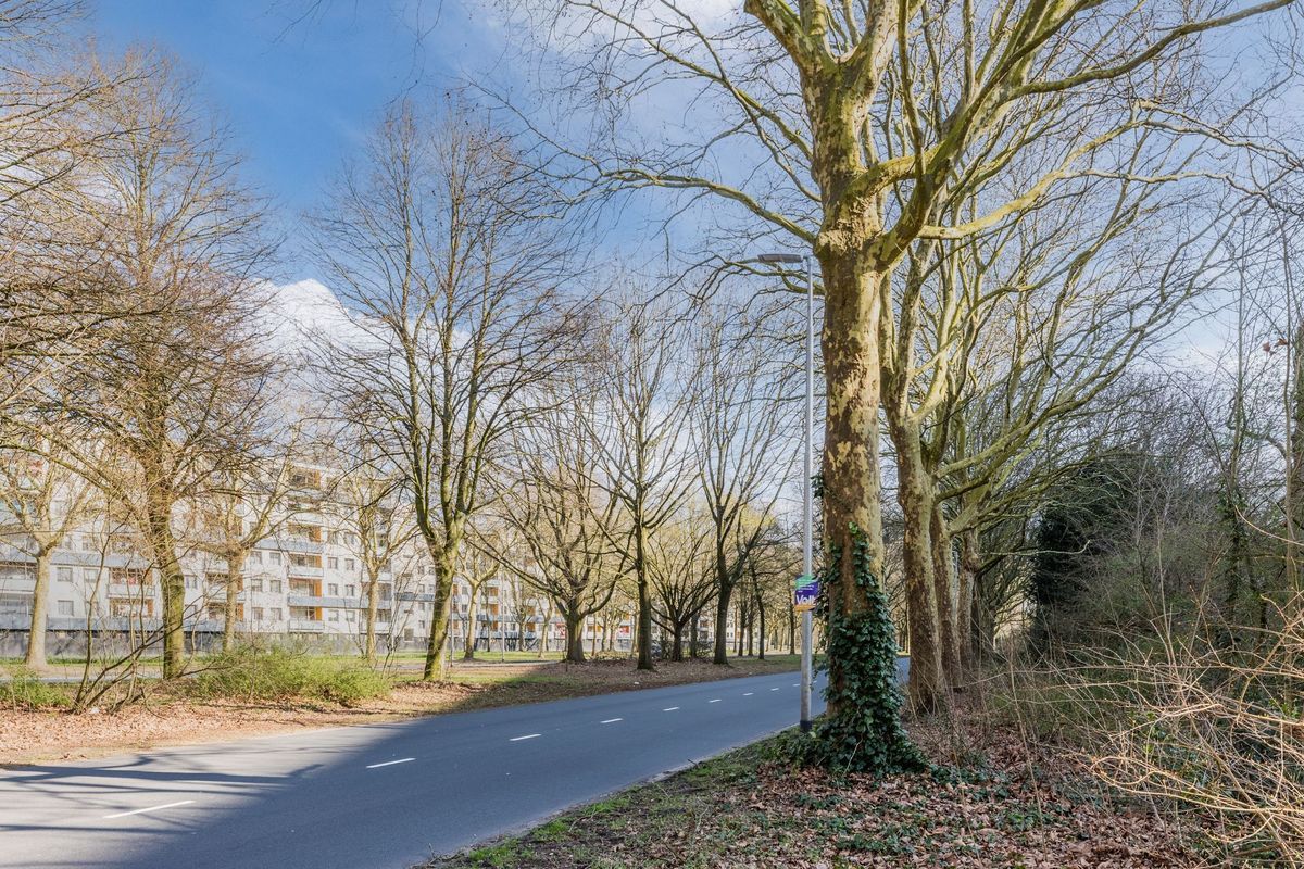 Mozartlaan 669 Photo Blur 31