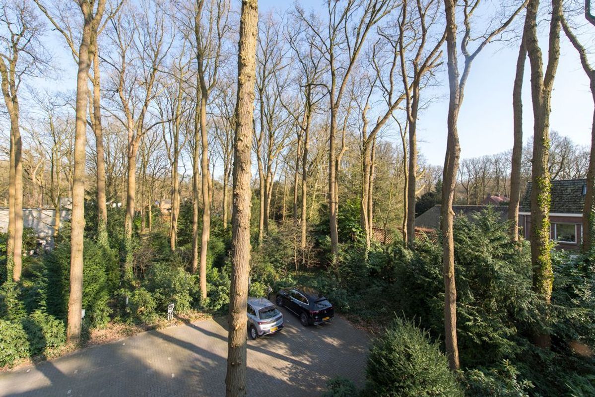 Tilburgseweg 193 - 12 Photo Blur 33