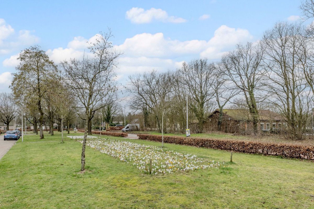 van Bleiswijkhof 3 Photo Blur 33