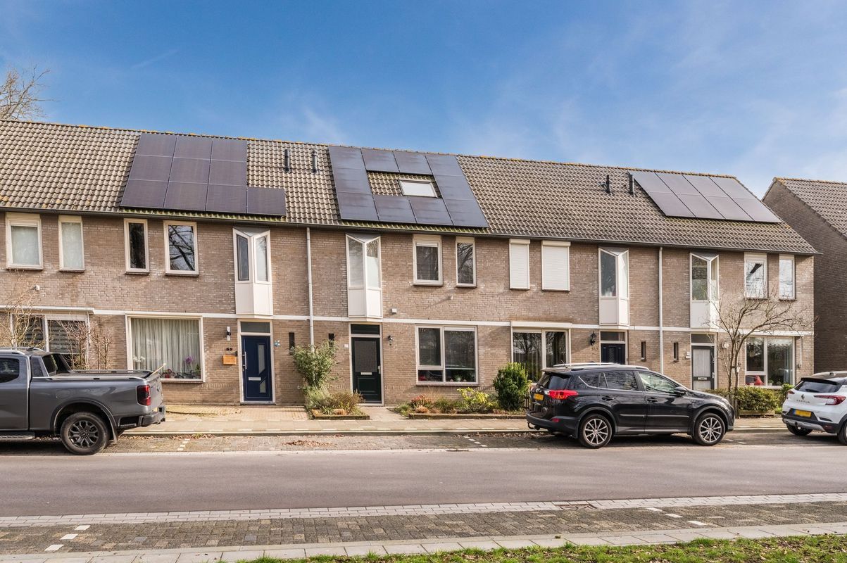 Aragorn 67 Photo Blur 44