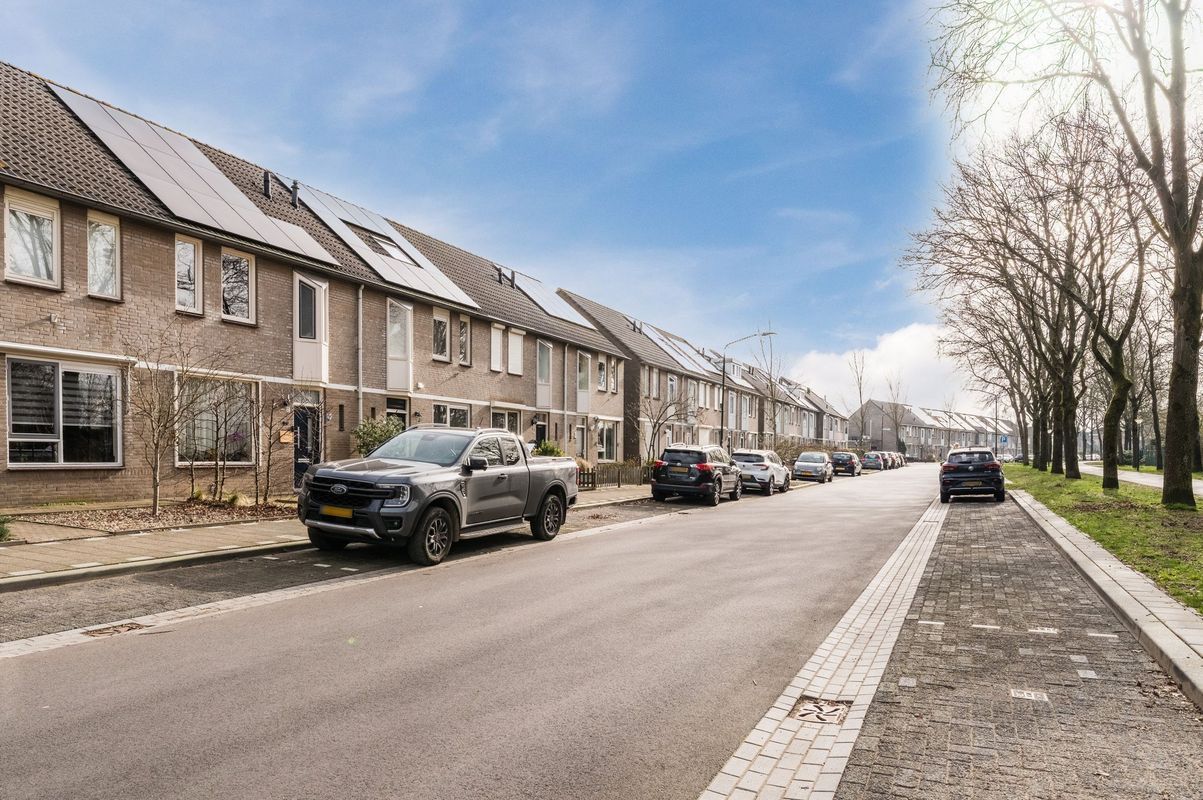 Aragorn 67 Photo Blur 3