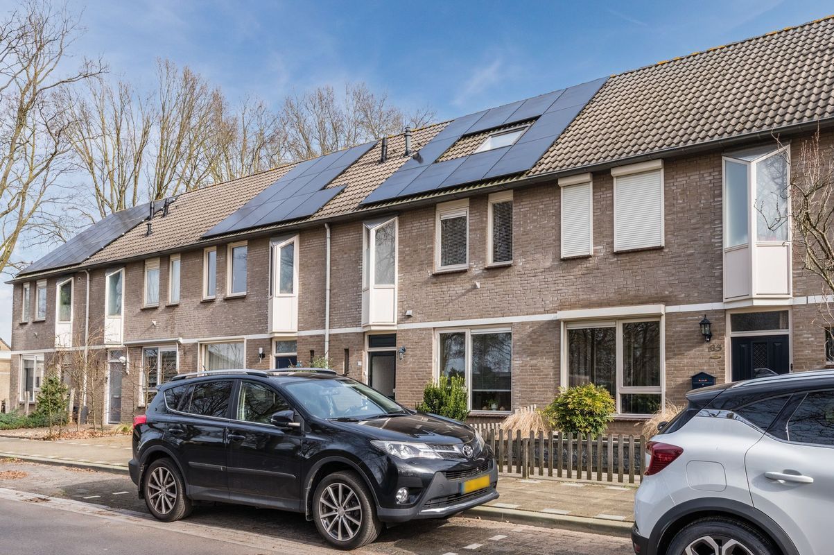 Aragorn 67 Photo Blur 43