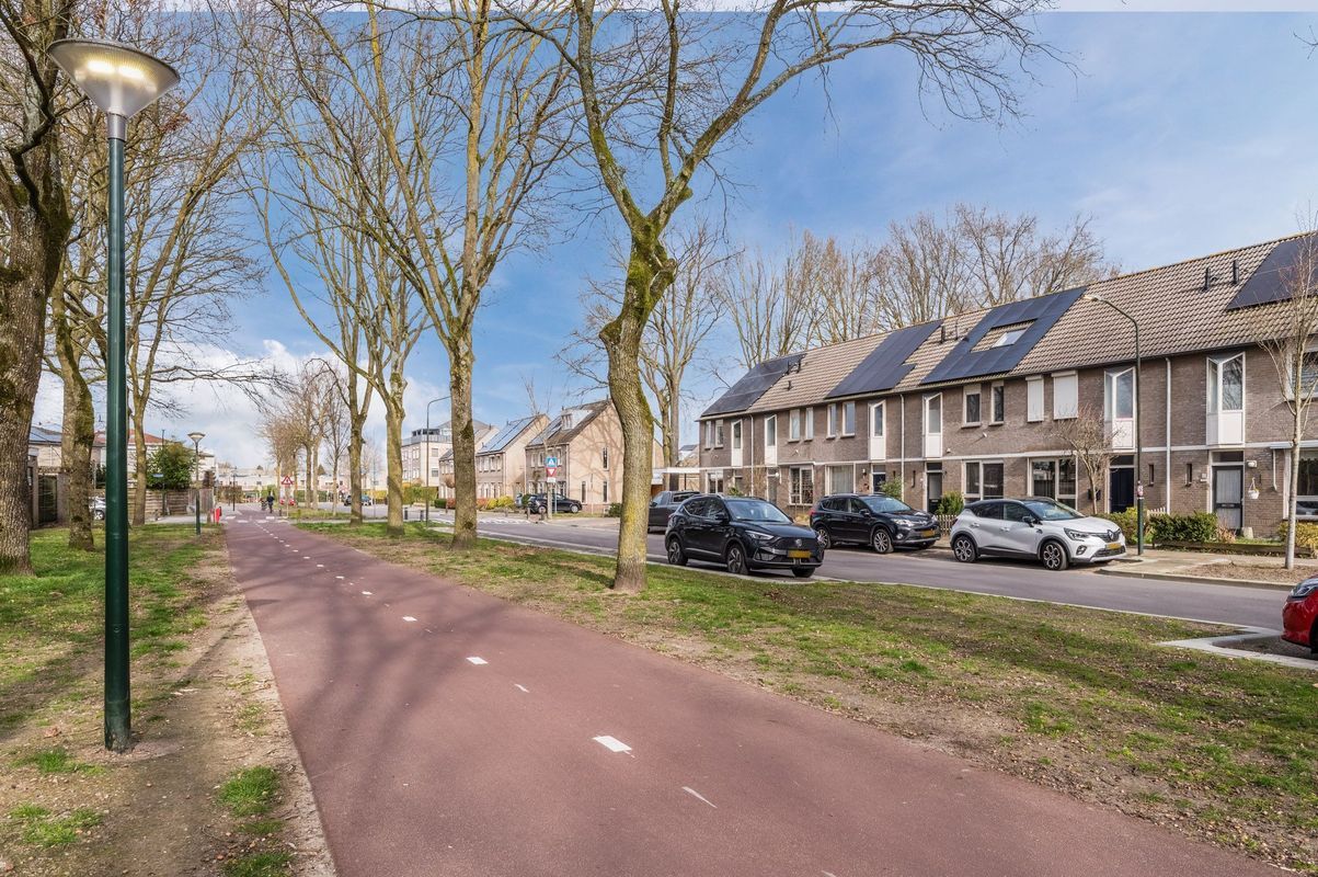 Aragorn 67 Photo Blur 4