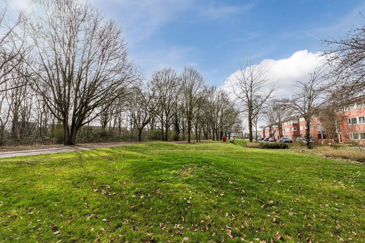 Aragorn 67 Photo Blur 46