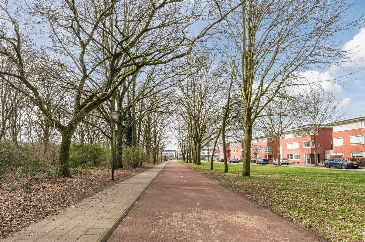 Aragorn 67 Photo Blur 47