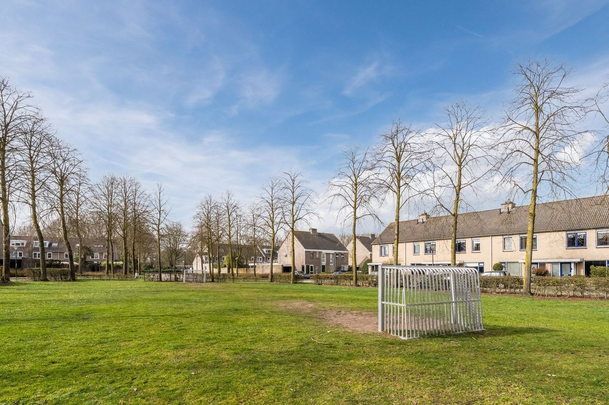 Aragorn 67 Photo Blur 51