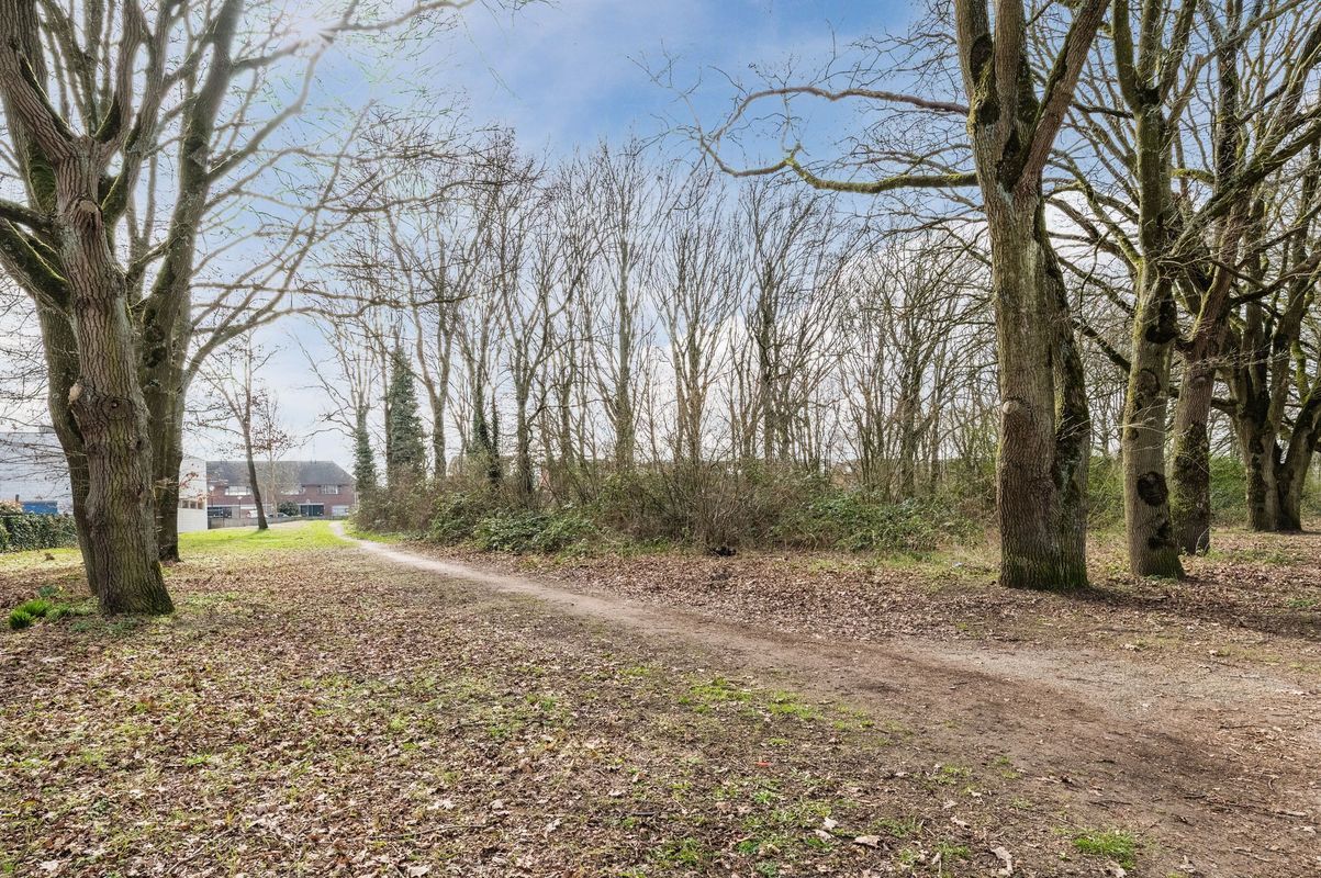 Aragorn 67 Photo Blur 48