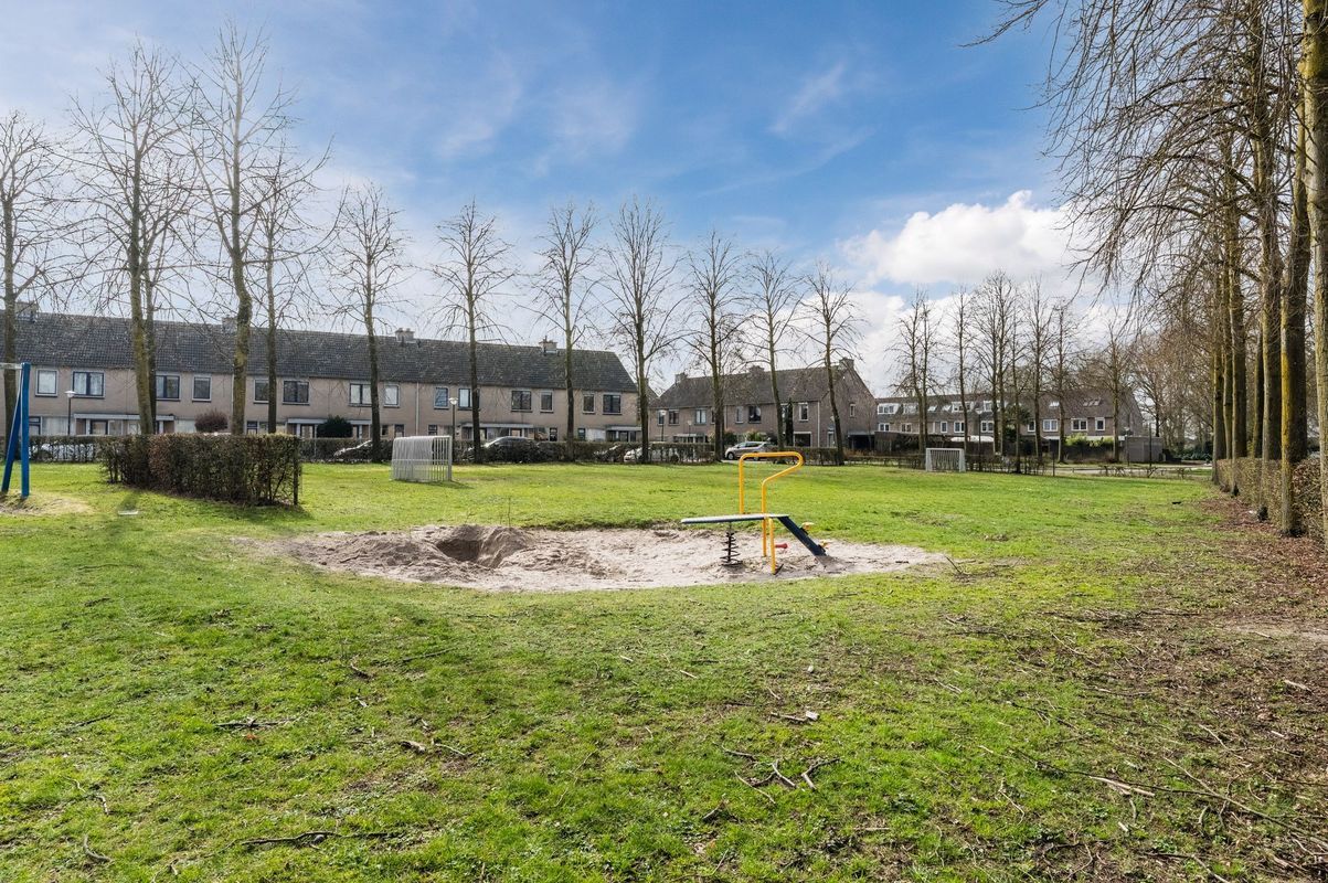 Aragorn 67 Photo Blur 49