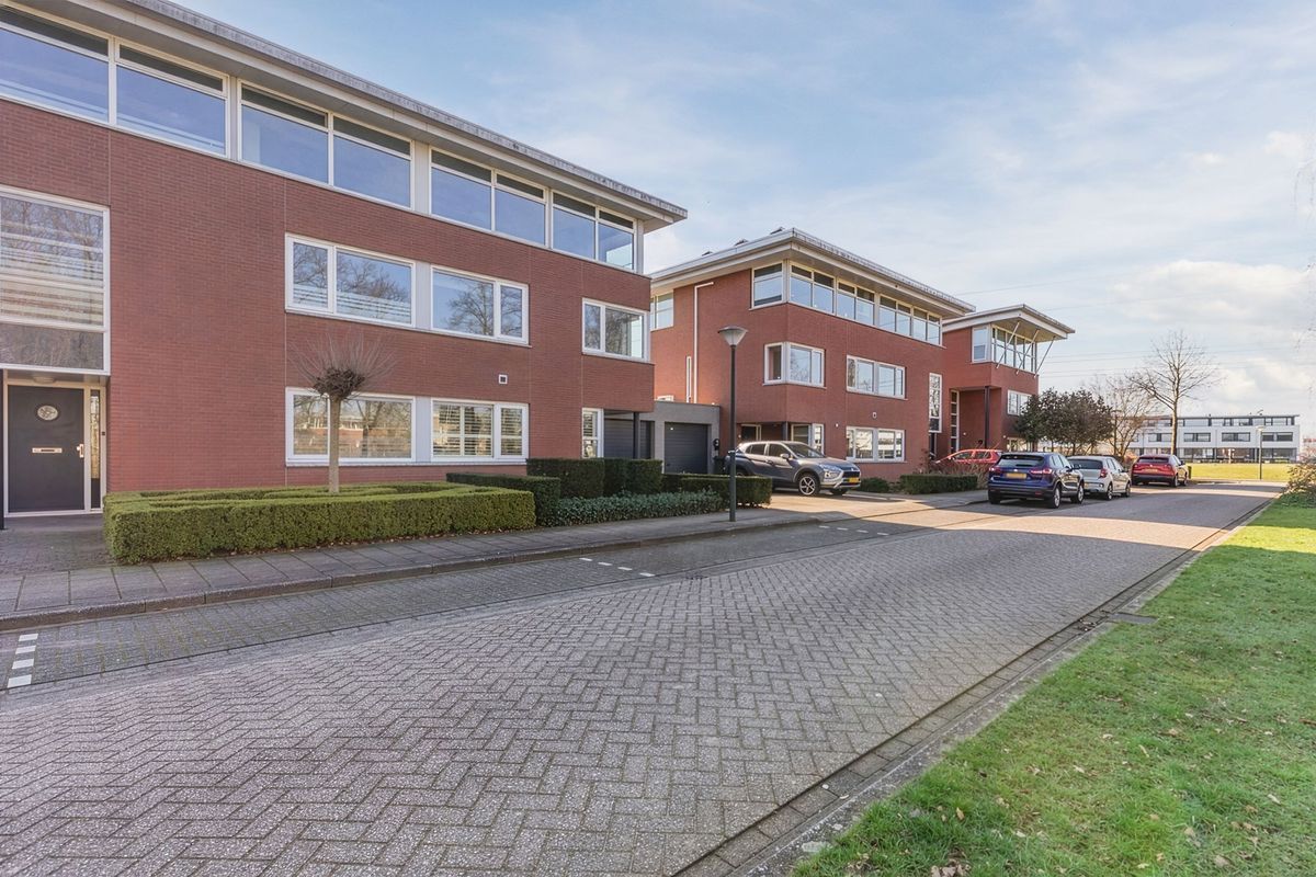 Gandalf 41 Photo Blur 4