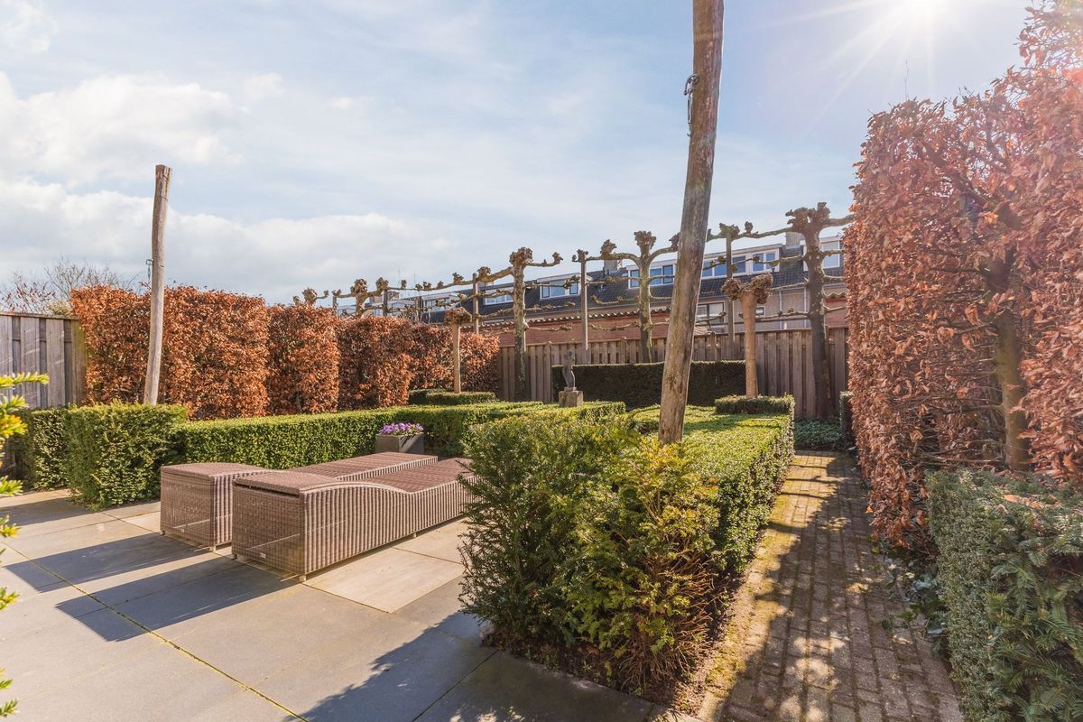 Gandalf 41 Photo Blur 38