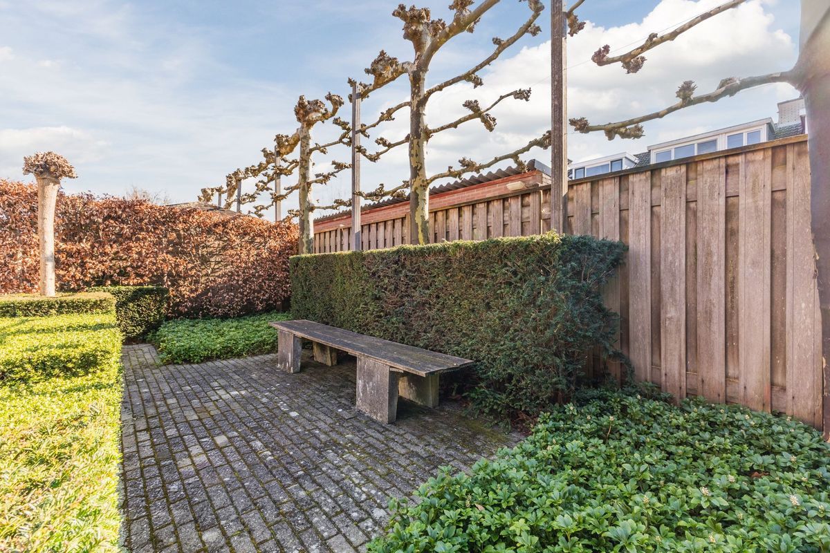 Gandalf 41 Photo Blur 39