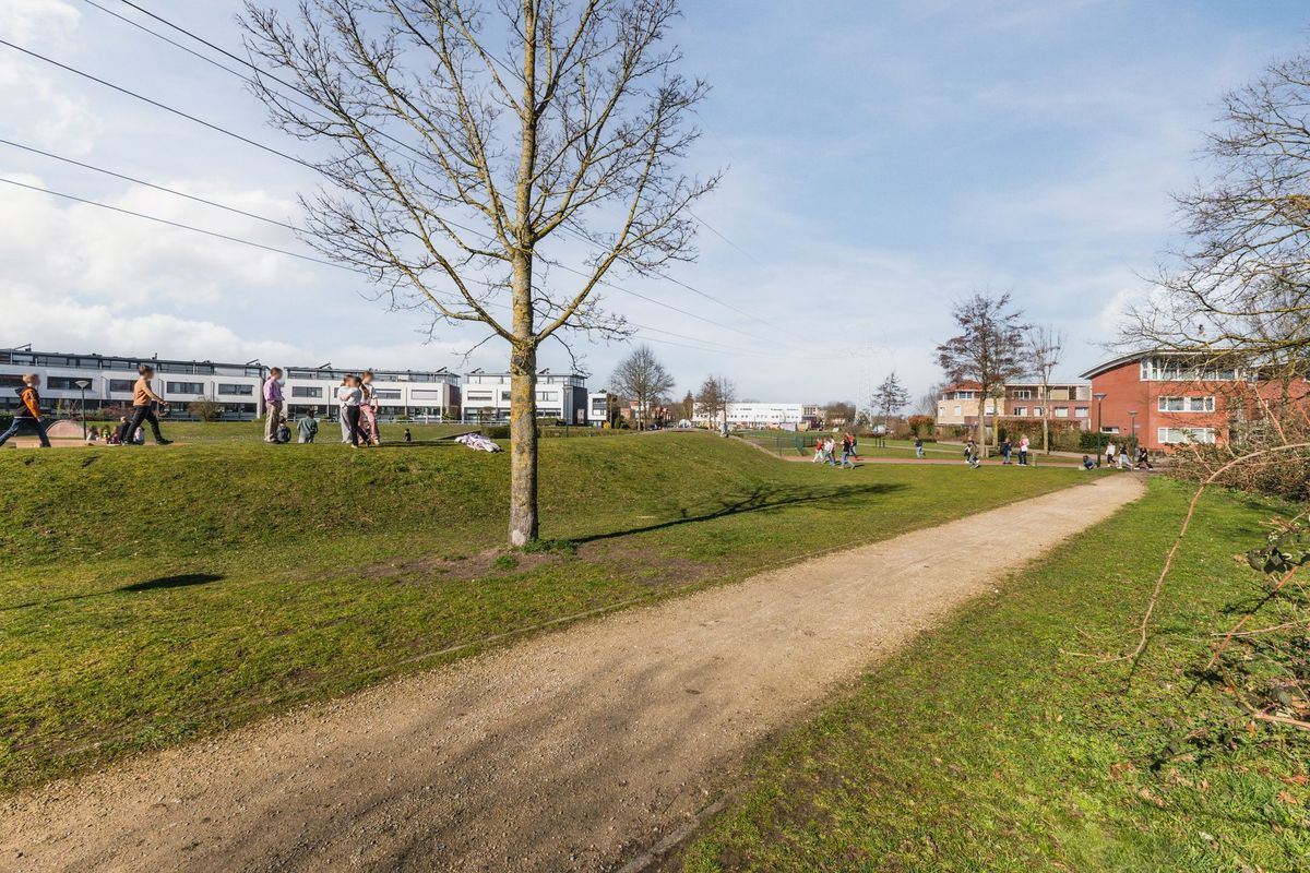 Gandalf 41 Photo Blur 44