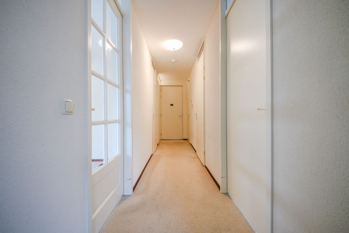 Hoge Ham 46 - G Photo Blur 10