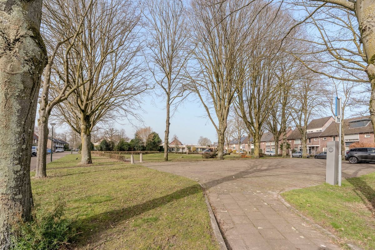 Wede 7 Photo Blur 49