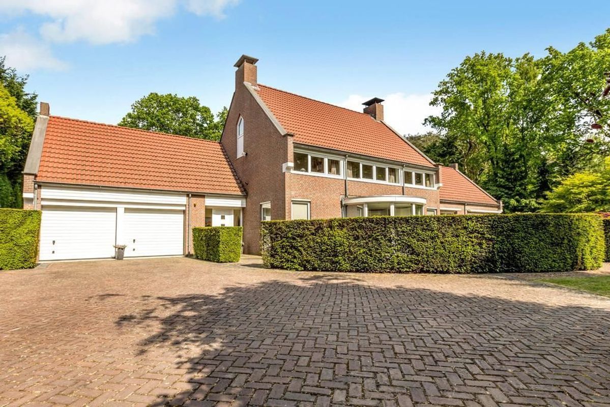 Haagdoorn 11 Photo Blur 4