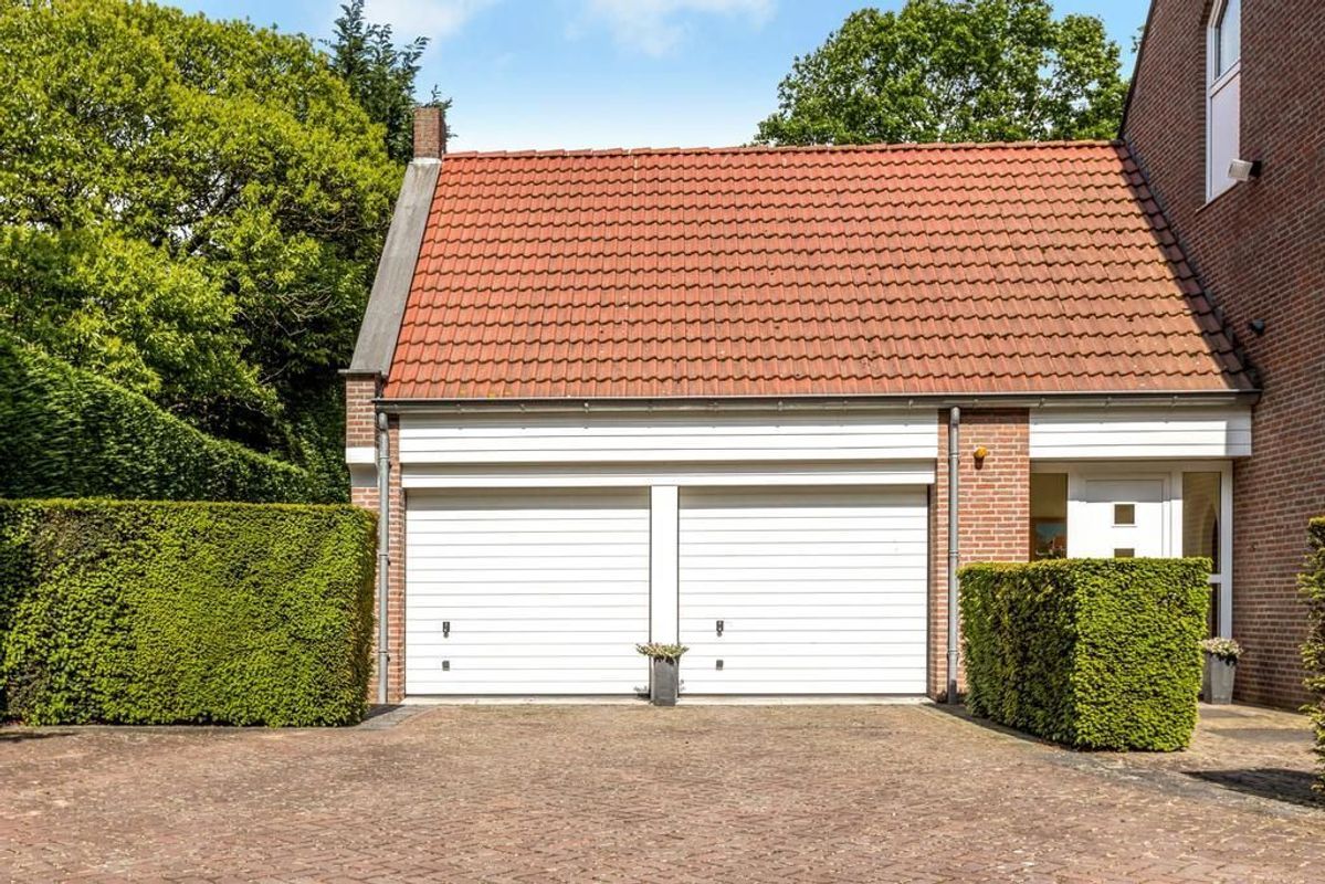 Haagdoorn 11 Photo Blur 39