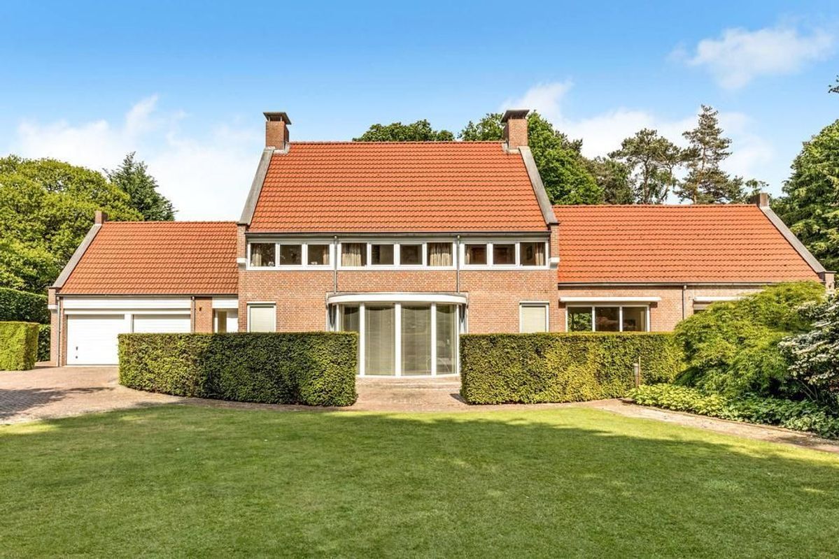 Haagdoorn 11 Photo Blur 1