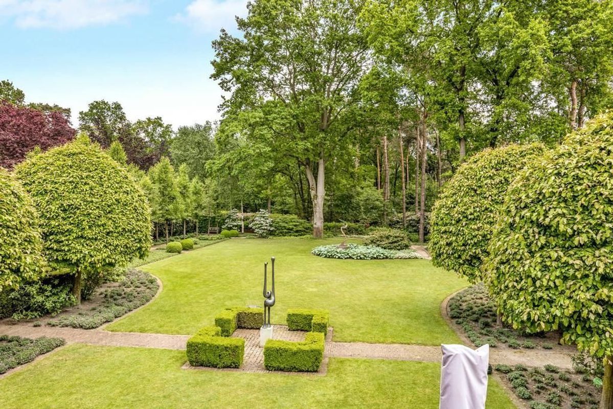 Haagdoorn 11 Photo Blur 21